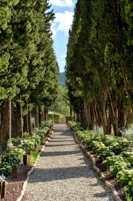 托斯卡纳Rosewood婚礼